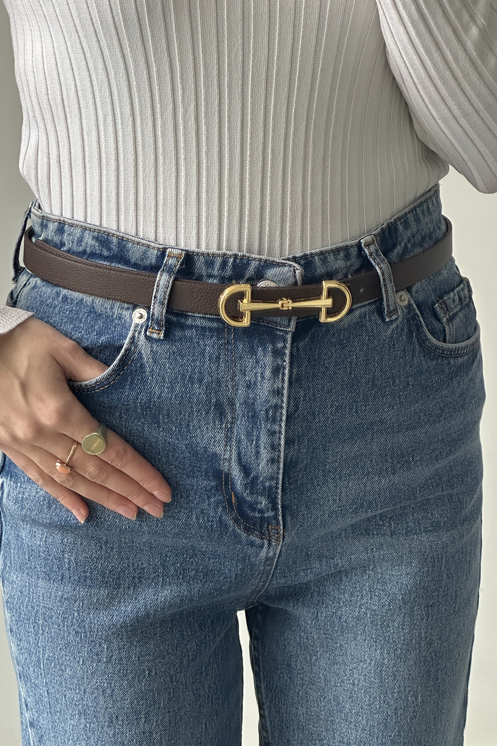 Bitter Brown Belted Silver Belt