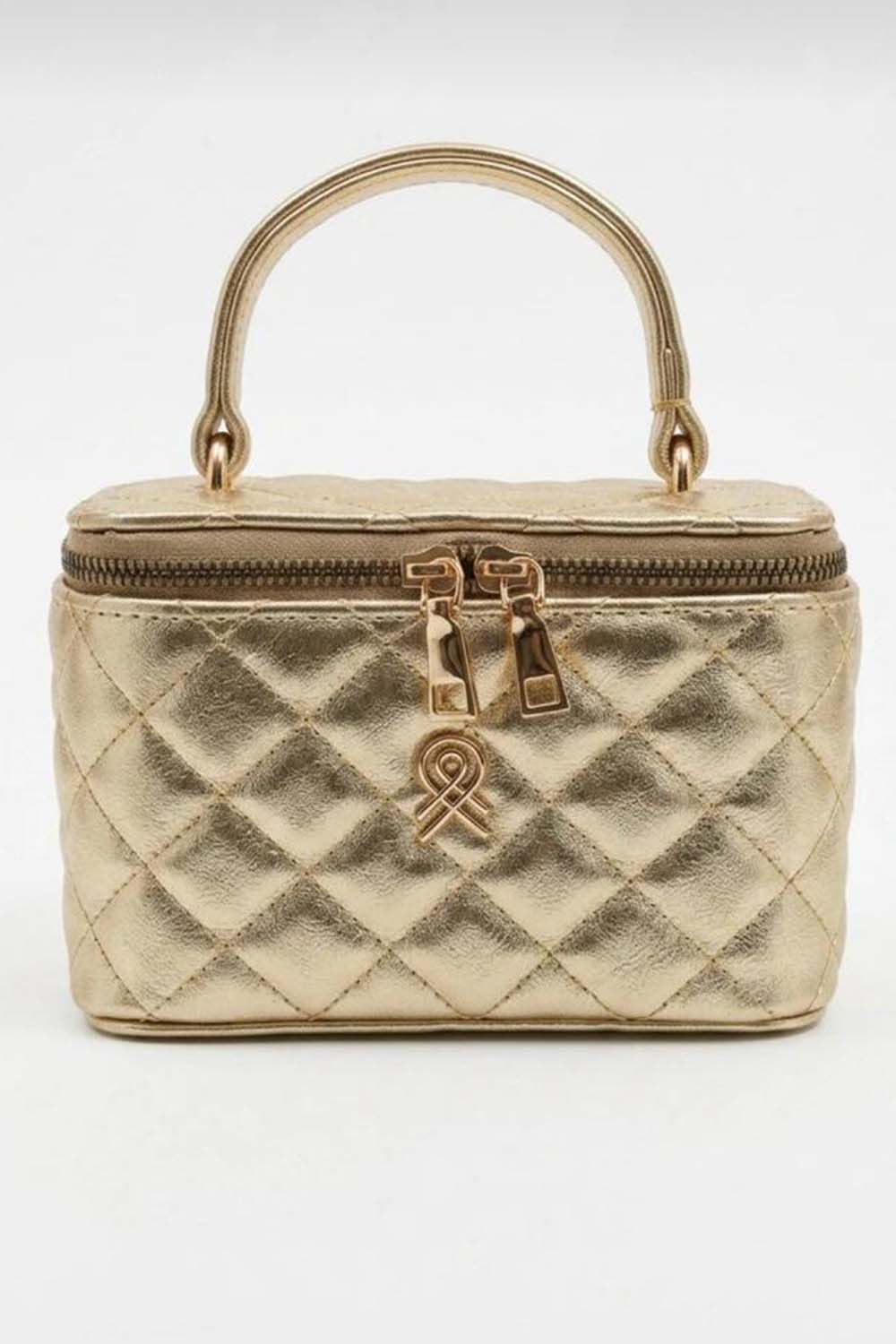 Gold Buckle Skin Hand Bag Bag