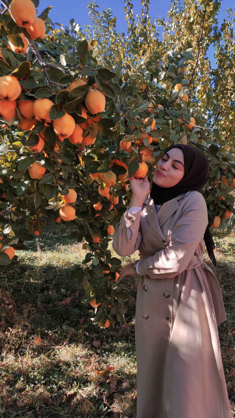 Modalamelif Önü Düğmeli Kemerli Trenç Bej