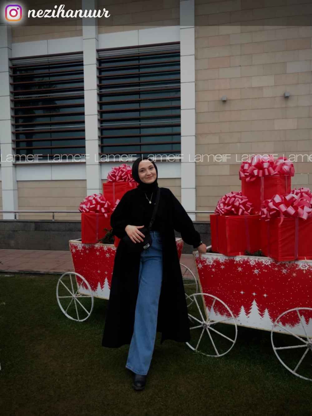 Light Blue Denim Normal Waist Denim Pants