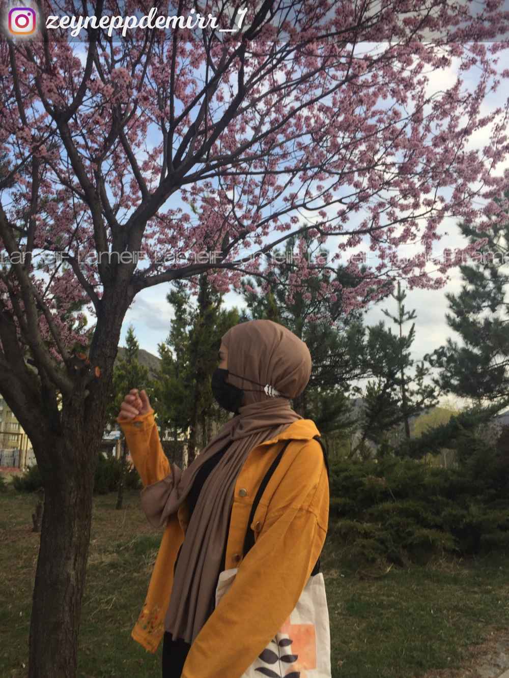 Modalamelif Kahve-Vizonrengi Penye Şal