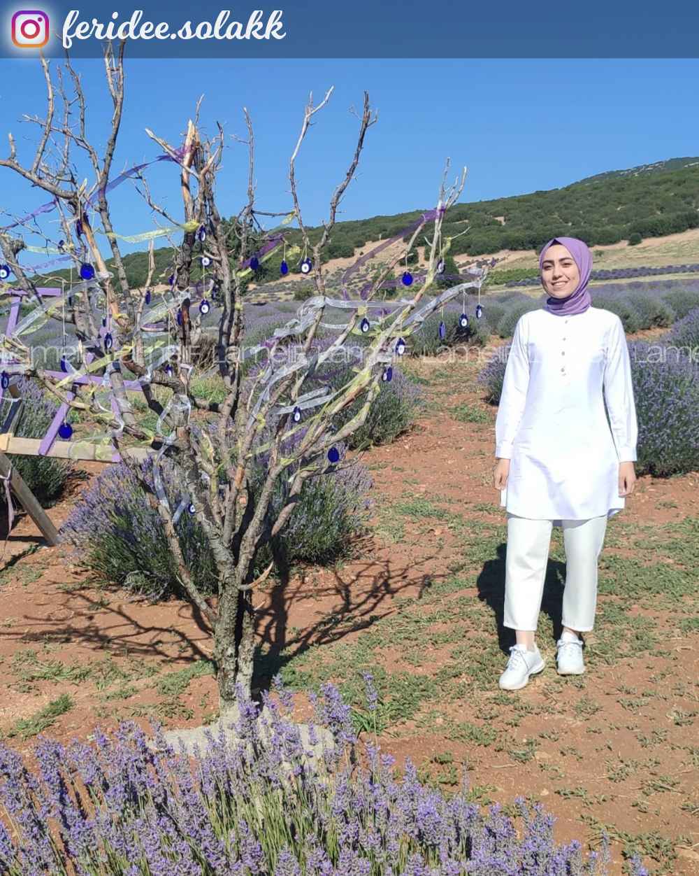 Modalamelif Beyaz Şık Havuç Pantolon