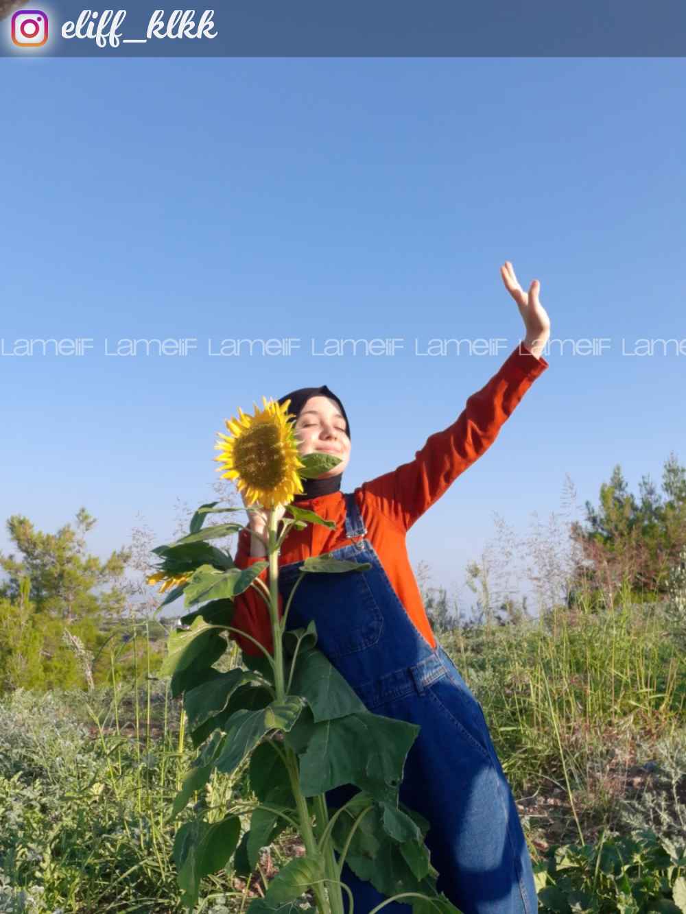 Dark Blue Normal Neck Denim Unprinted Overalls