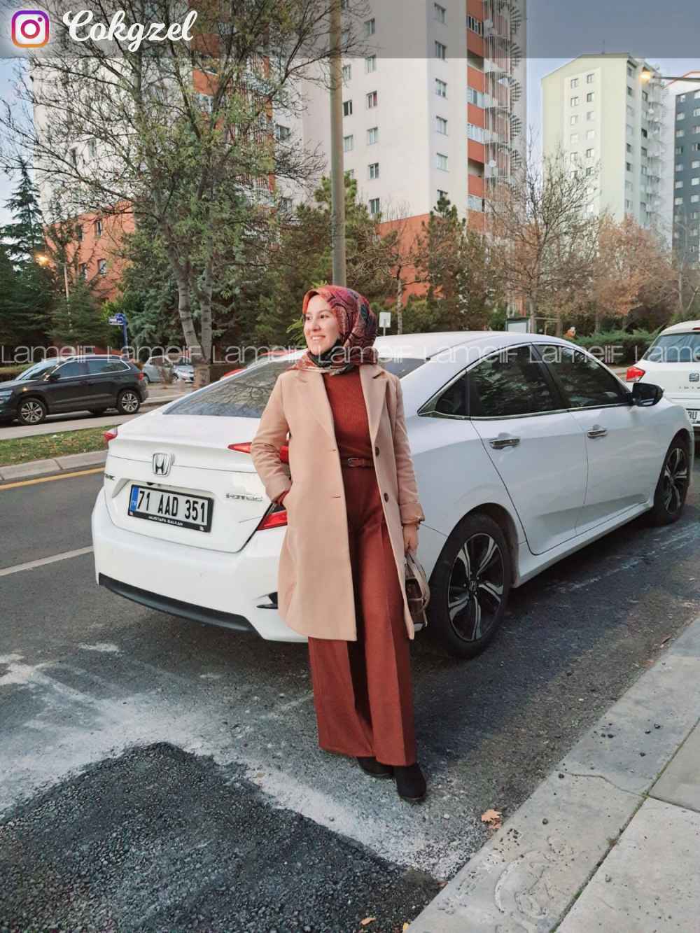 Bitter Brown Cotton Fabric High Waist Comfortable Pants