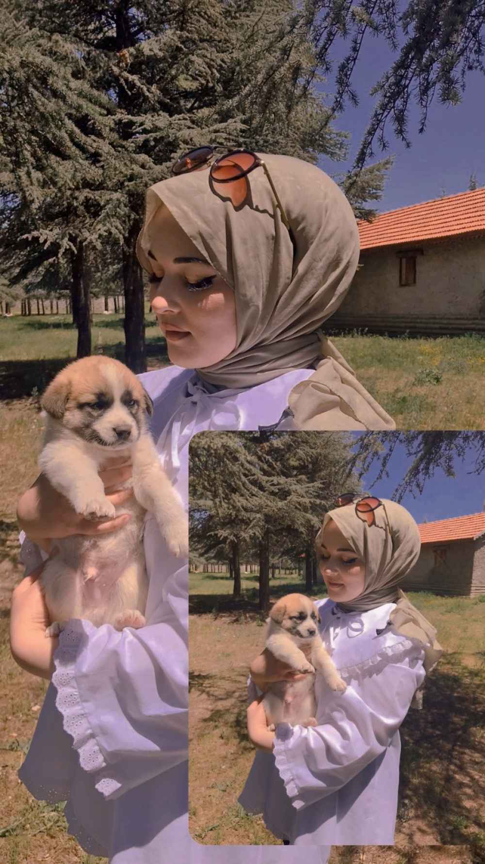 Modalamelif Pelerin Yaka Fistolu Gömlek Beyaz
