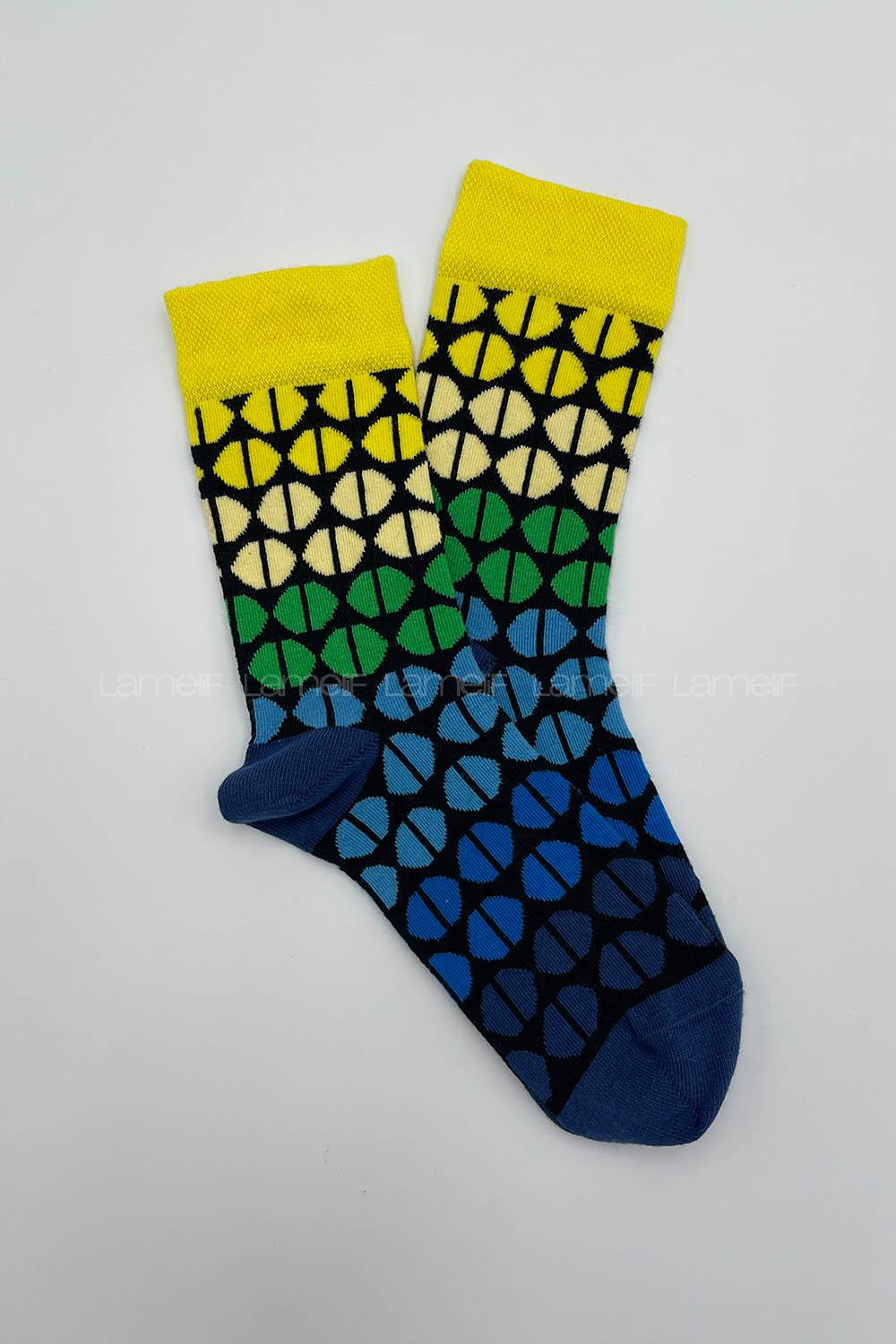 Modalamelif Colour Place Çorap