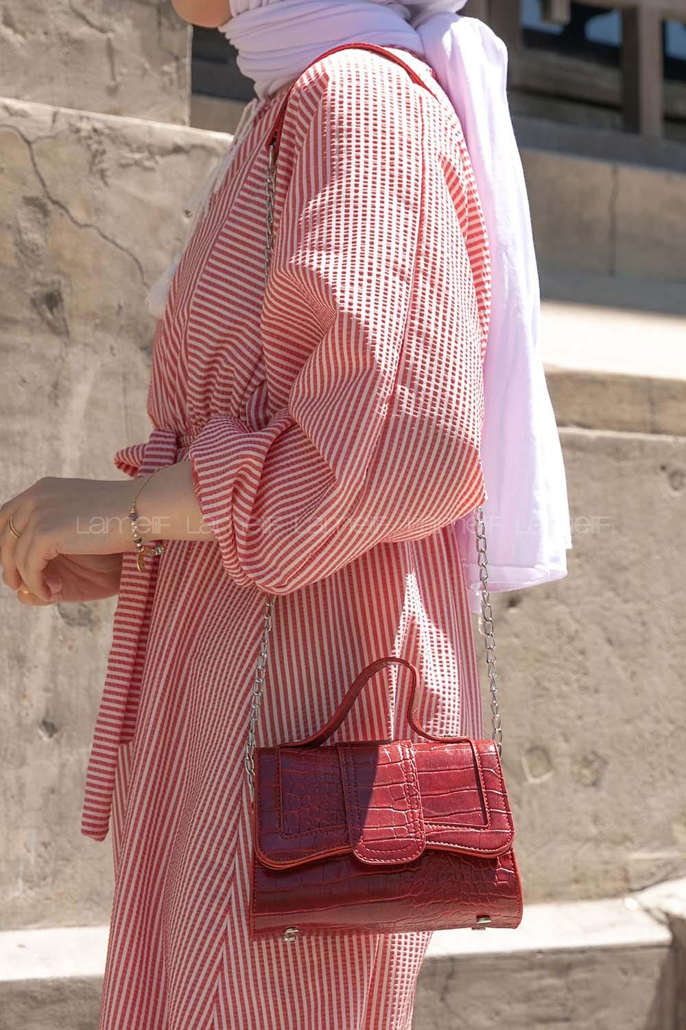 Claret Red Buckle Skin Hand Bag Bag