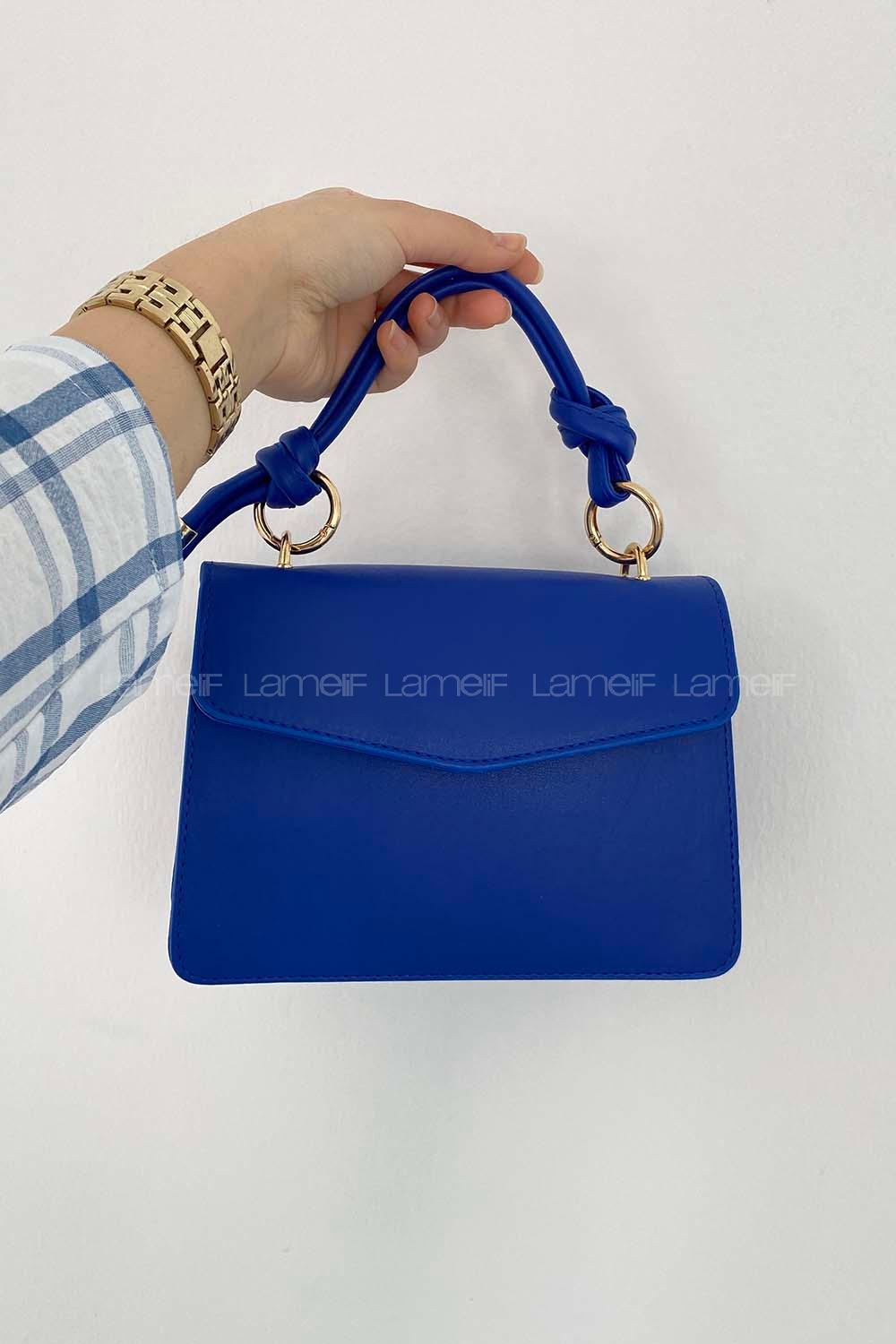 Blue Buckle Skin Hand Bag Bag