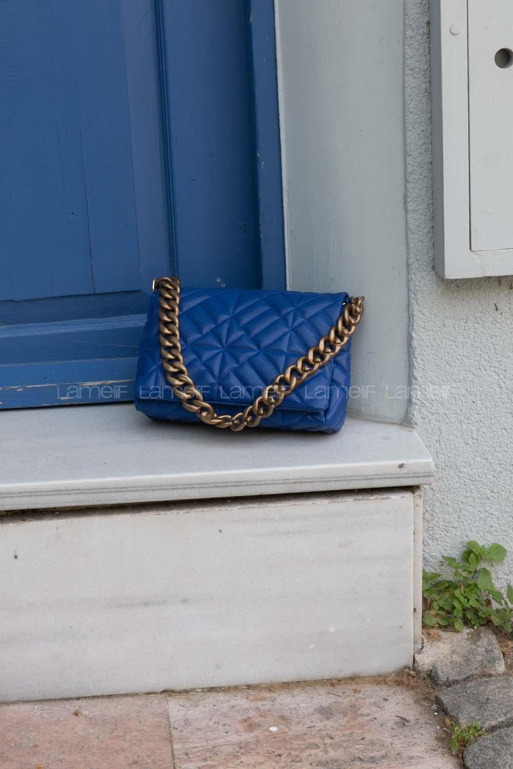 Blue Buckle Skin Hand Bag Bag