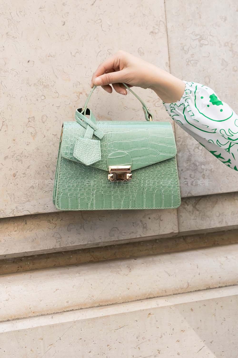 Plum Green Buckle Skin Hand Bag Bag