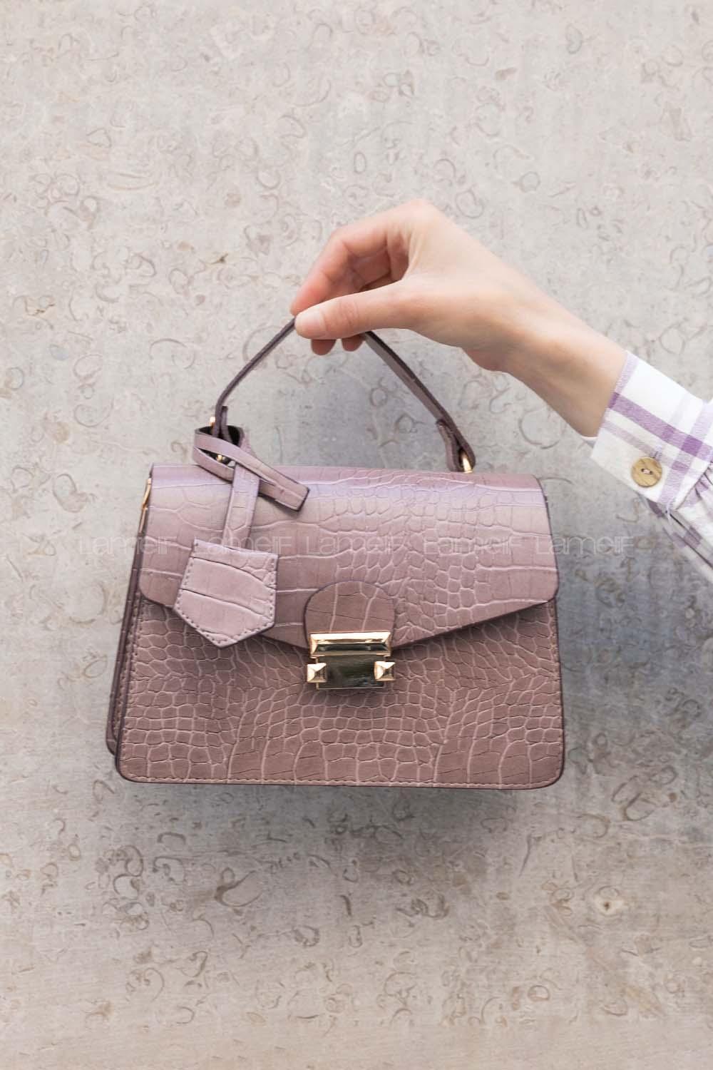 Plato Buckle Skin Hand Bag Bag