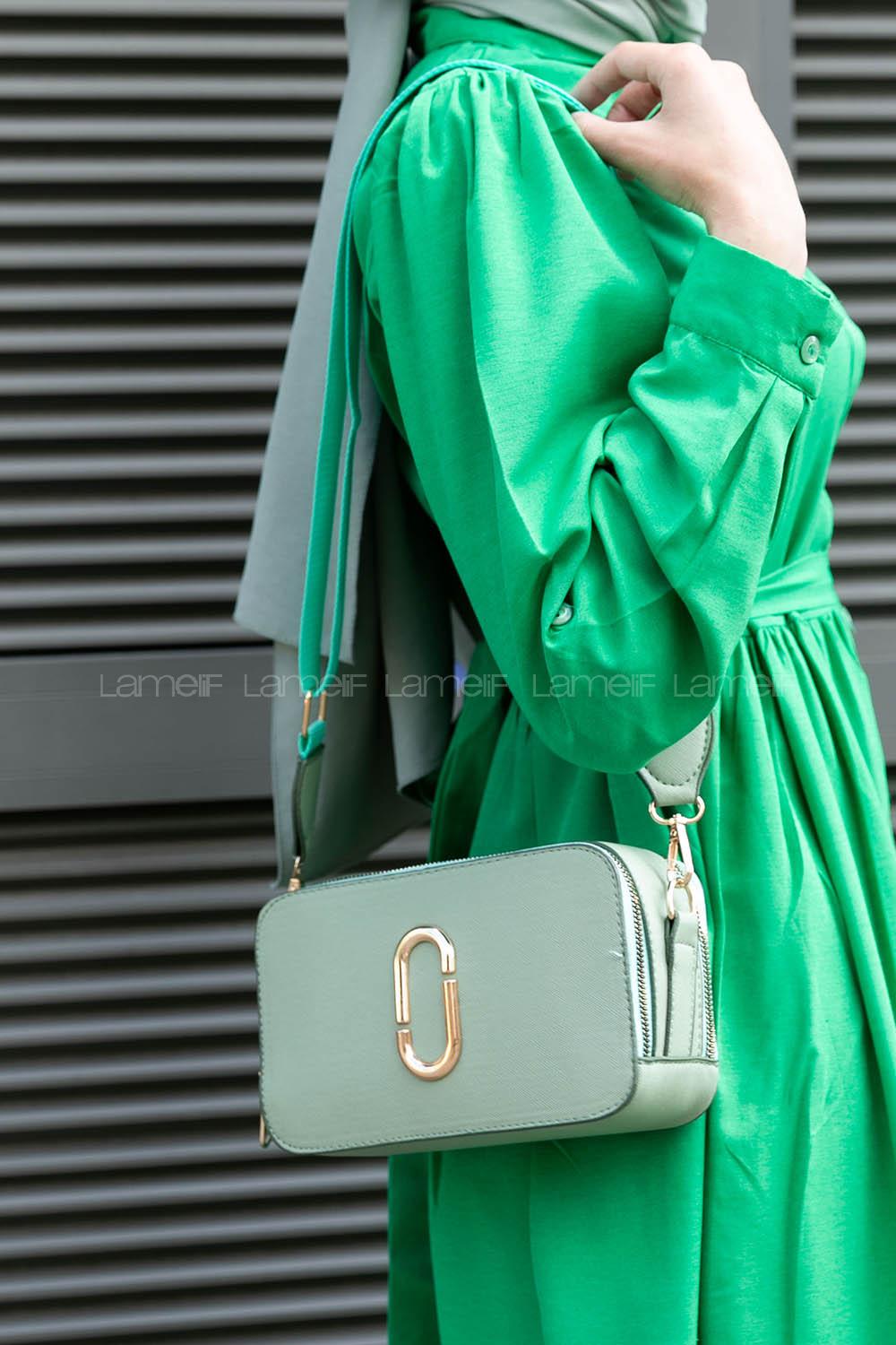 Plum Green Buckle Skin Hand Bag Bag