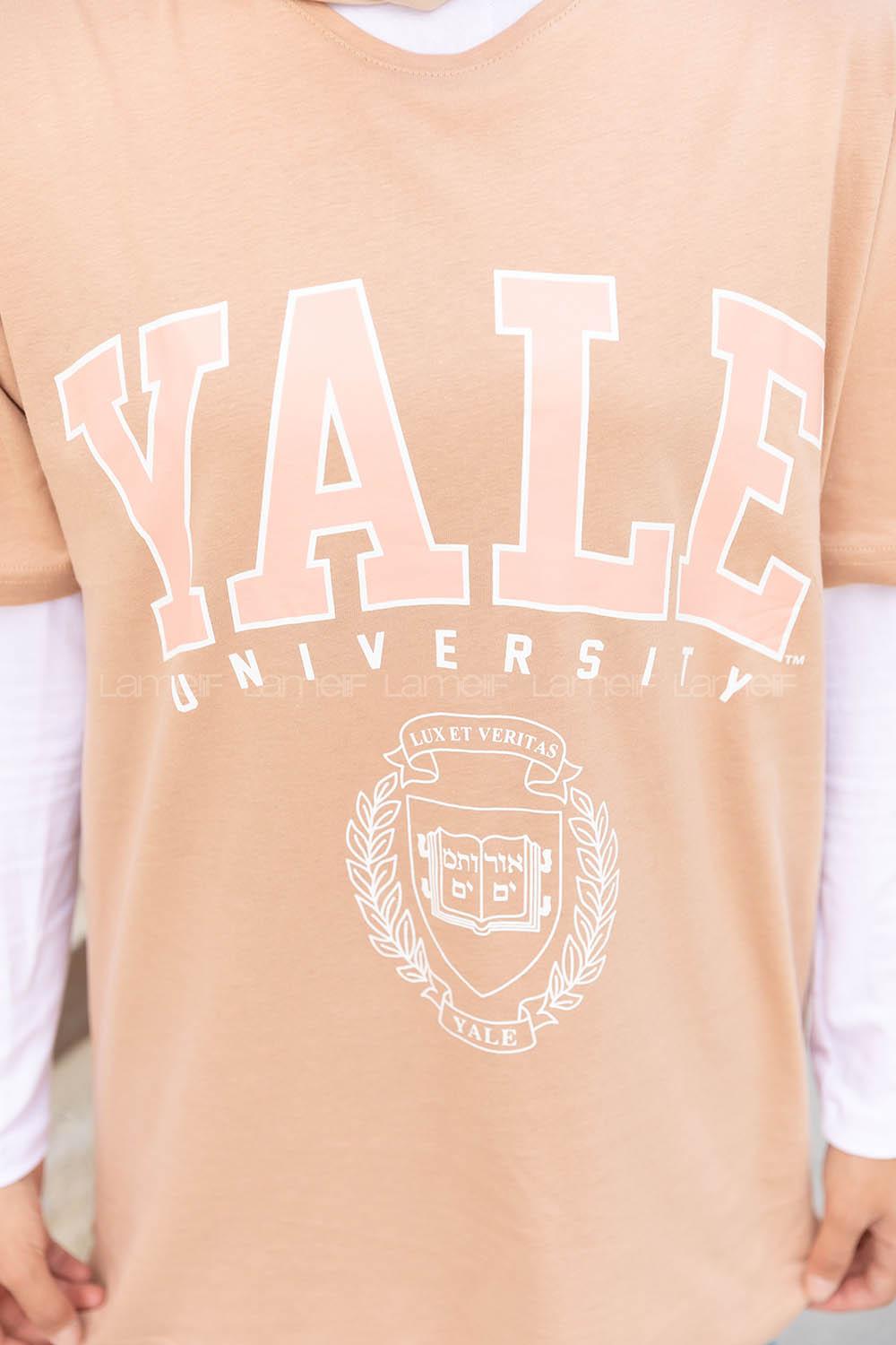 Brown With Milk Crew Neck Short Arm Cotton Printed T-shirt