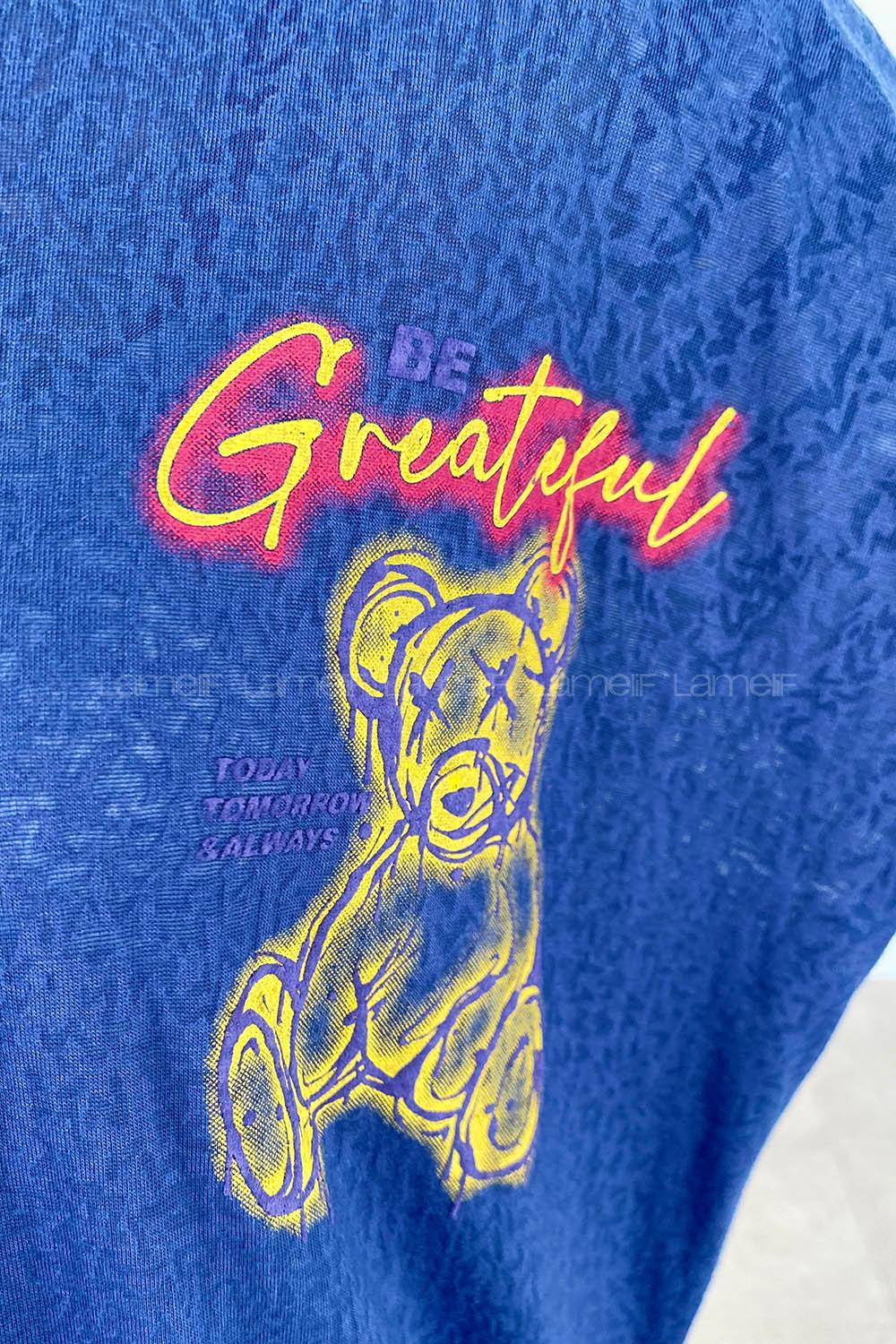 Indigo Crew Neck Short Arm Cotton Printed T-shirt