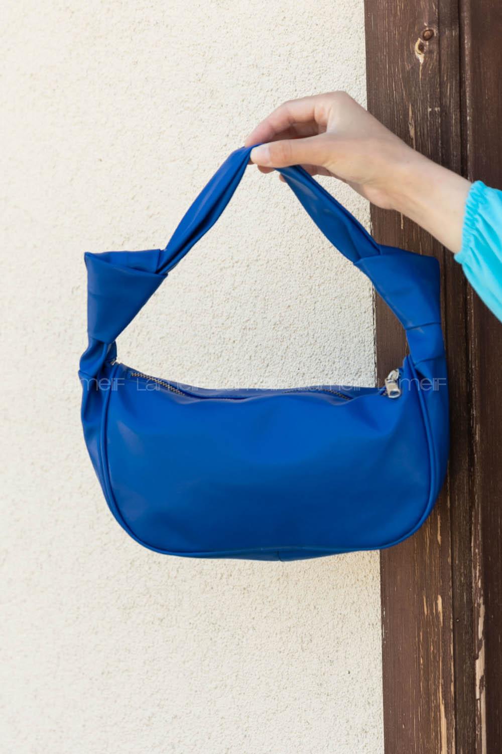 Blue Buckle Skin Hand Bag Bag