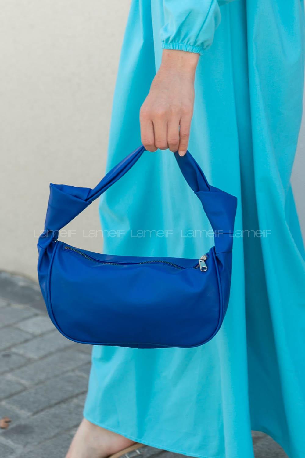 Blue Buckle Skin Hand Bag Bag