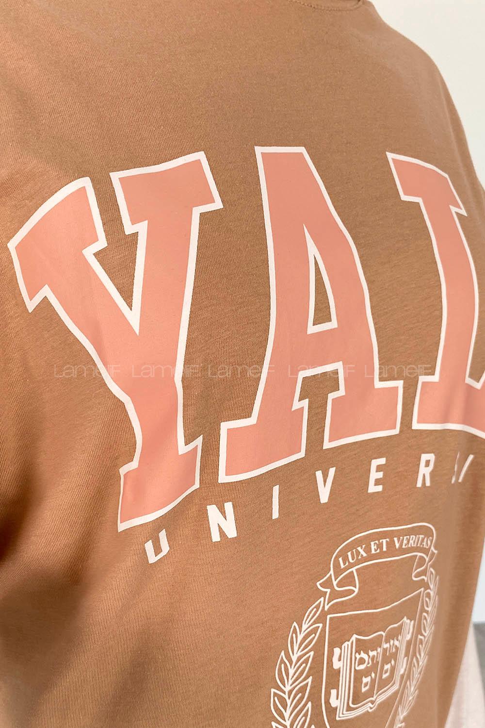 Brown With Milk Crew Neck Short Arm Cotton Printed T-shirt