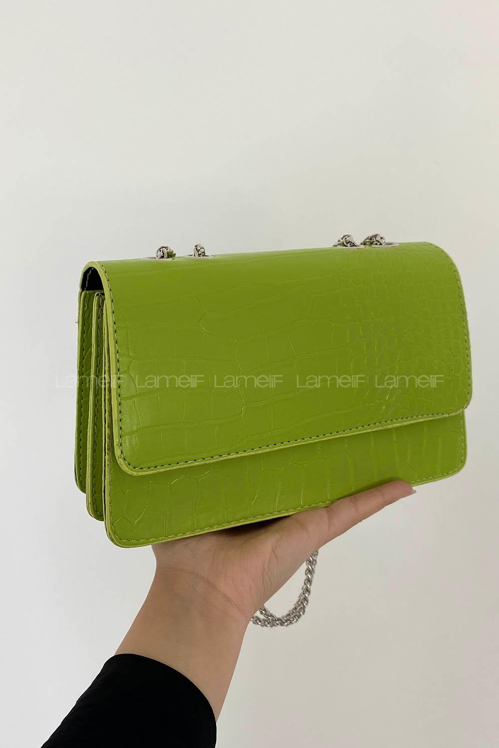 Pistachio Green Buckle Skin Hand Bag Bag