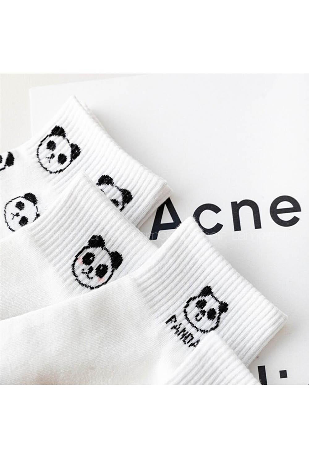 Lamelif 5 li Koton Kadın Beyaz Panda Çorap