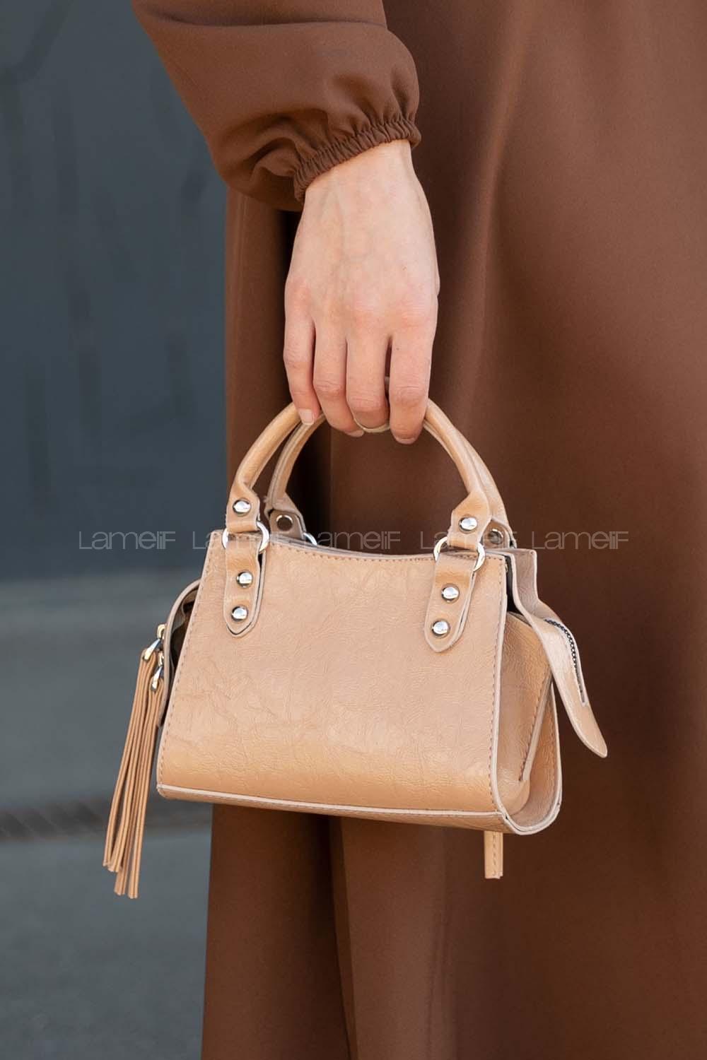 Soft Brown Buckle Skin Hand Bag Bag