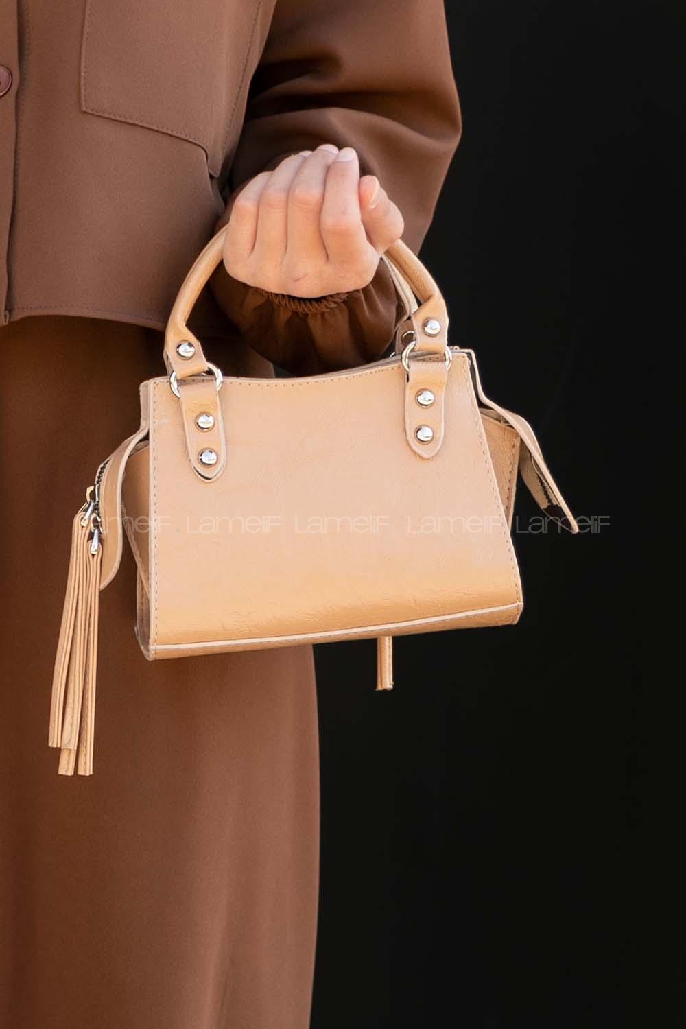 Soft Brown Buckle Skin Hand Bag Bag