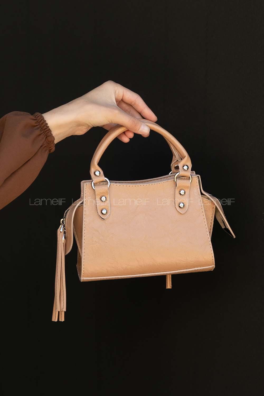 Soft Brown Buckle Skin Hand Bag Bag