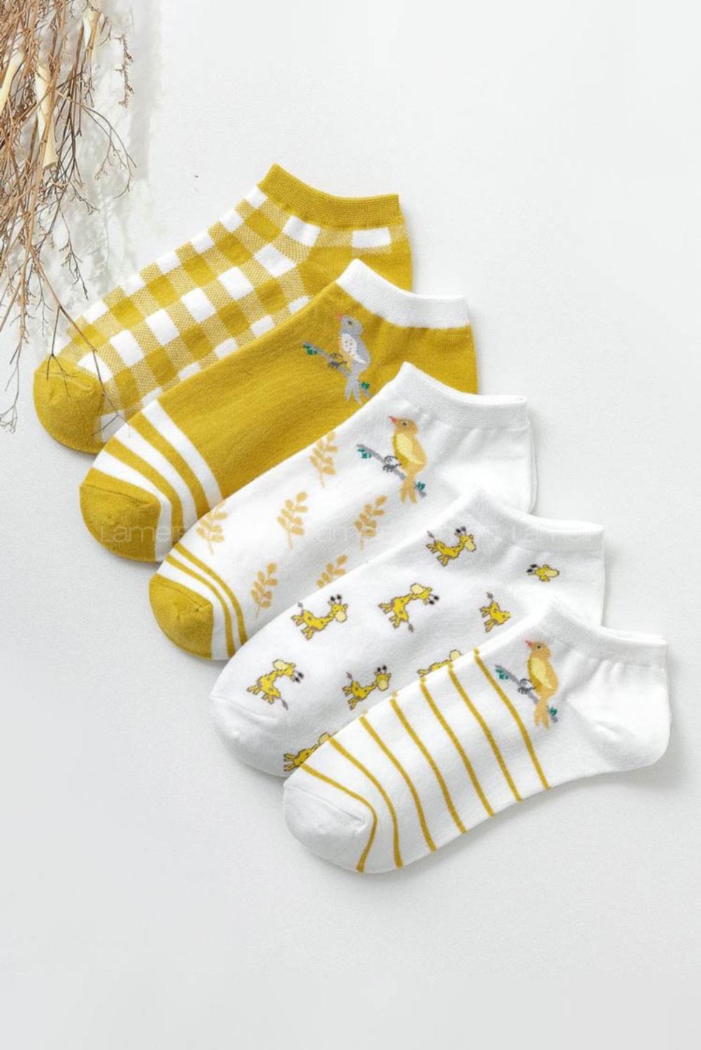 Lamelif  5li Kuş Desenli Patik Çorap