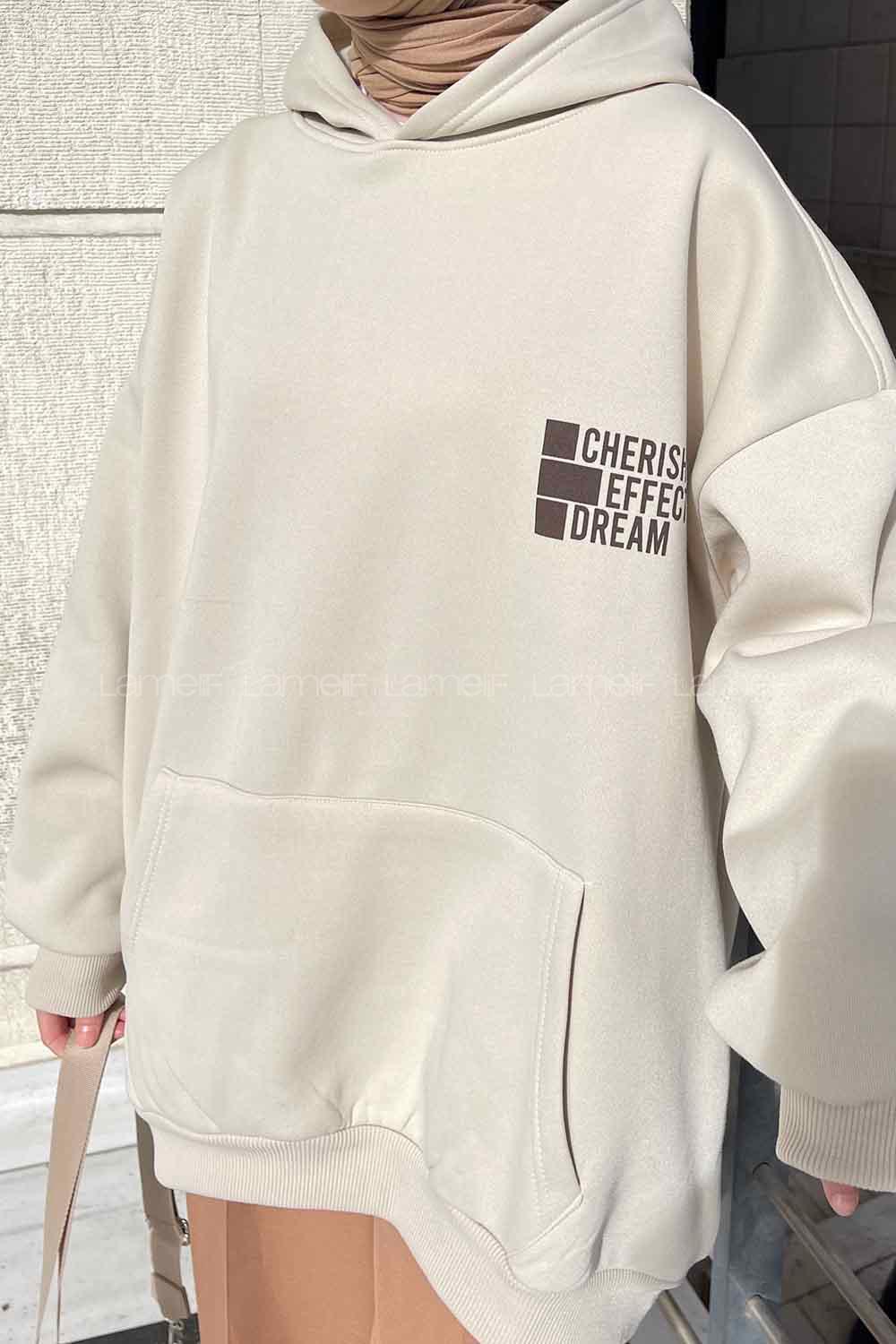 Stone Hood Neck Long Arm Printed Sweatshirt