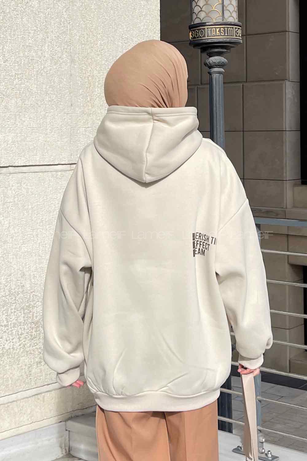 Stone Hood Neck Long Arm Printed Sweatshirt