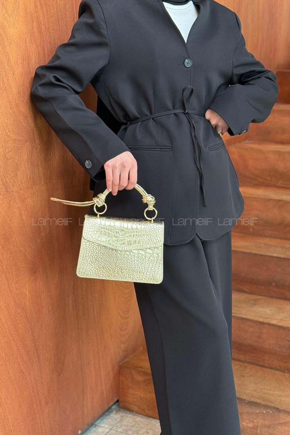 Gold Buckle Skin Hand Bag Bag