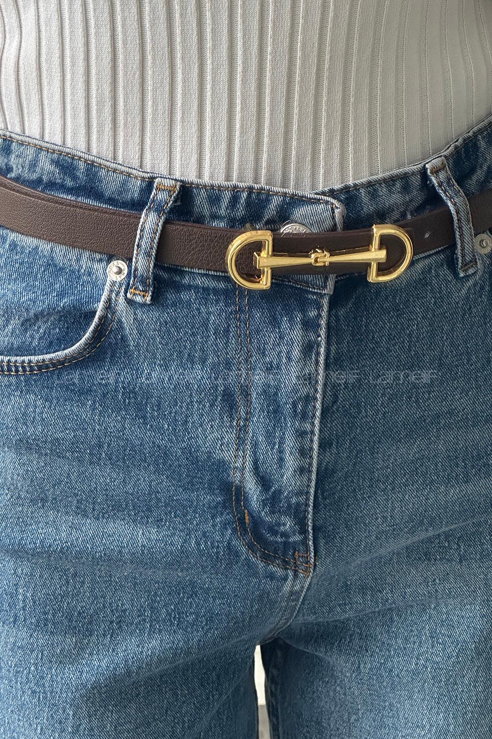 Bitter Brown Belted Silver Belt