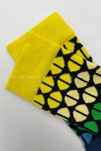 Modalamelif Colour Place Çorap