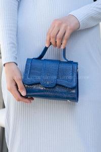 Blue Buckle Skin Hand Bag Bag