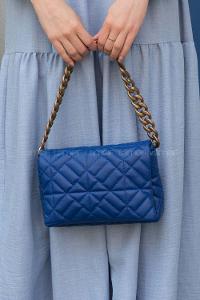 Blue Buckle Skin Hand Bag Bag