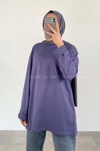 Plato Crew Neck Long Arm Unprinted Sweatshirt