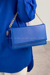 Blue Buckle Skin Hand Bag Bag