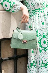 Plum Green Buckle Skin Hand Bag Bag