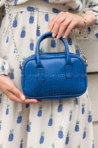 Blue Buckle Skin Hand Bag Bag