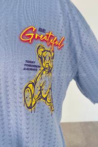 Light Blue Crew Neck Short Arm Cotton Printed T-shirt