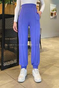 Purble Regular Trousers Elastic Waist Regular Cut Bottom Tracksuit