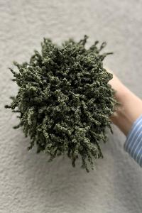 Lamelif Topuz Toka Haki