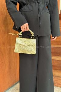 Gold Buckle Skin Hand Bag Bag