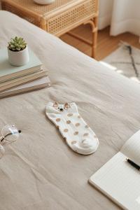 Lamelif Yıkamalı Penye Kulaklı Köpek Çorap