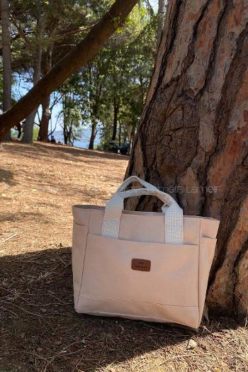 Cream Buckle Skin Hand Bag Bag