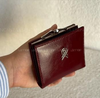 Claret Red Buckle Skin Hand Bag Bag