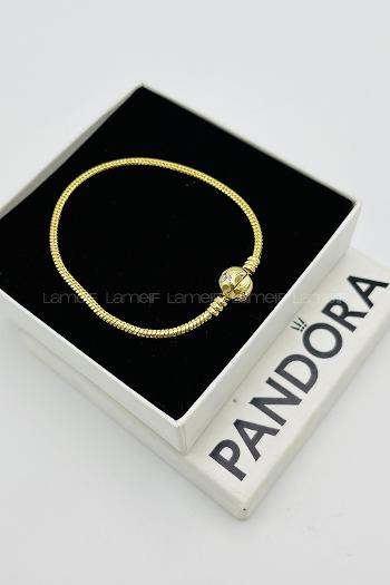 Gold Belted Gold Straight Wristband