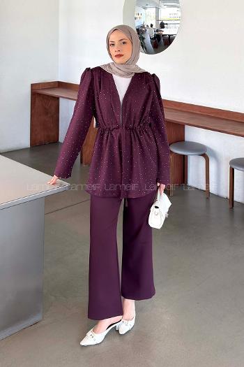 Plum V Neck Long Arm Crepe Fabric Regular Trousers Material Suit