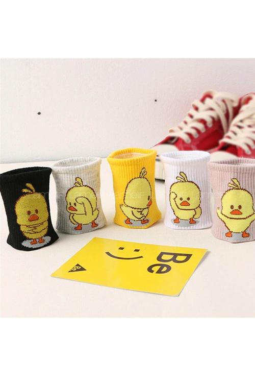 Lamelif 5 Çift Renkli Civciv Desenli Kolej Kadın Çorap