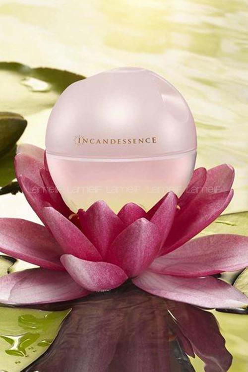 Lamelif Avon Incandessence Lotus Kadın Parfüm