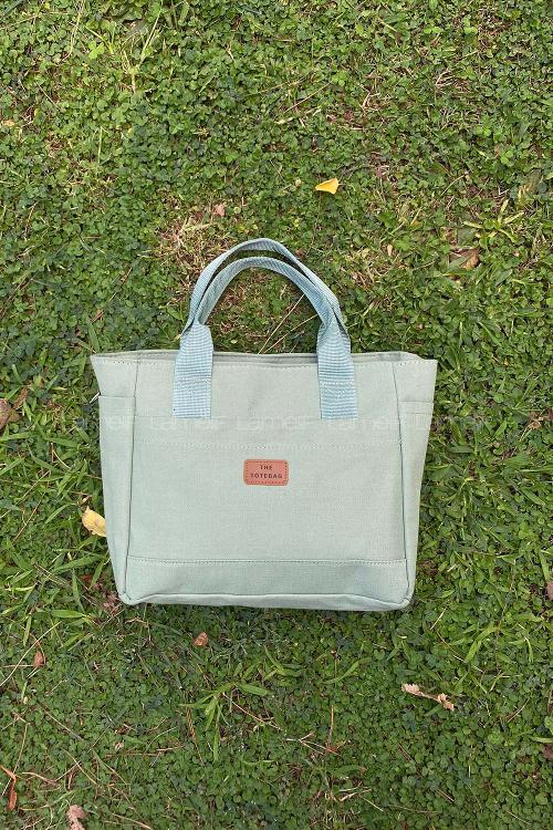 Plum Green Buckle Skin Hand Bag Bag